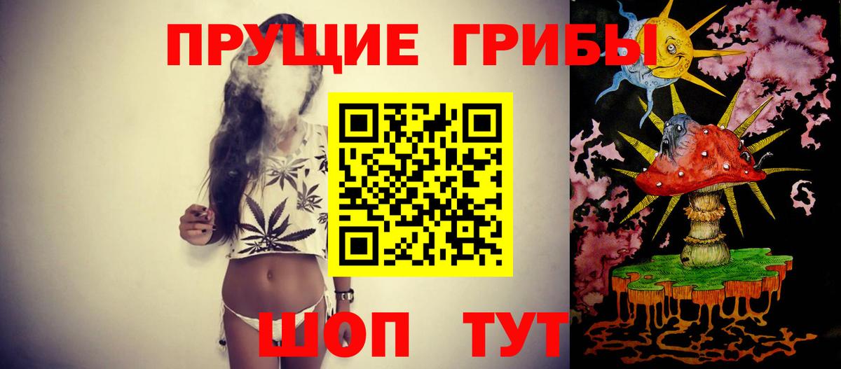Псилоцибиновые грибы GOLDEN TEACHER  Вход с VPN  Тольятти 